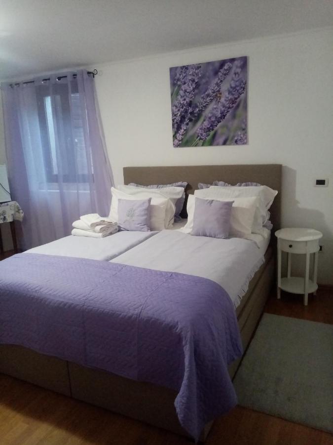 Rooms Serafin Мотовун Экстерьер фото